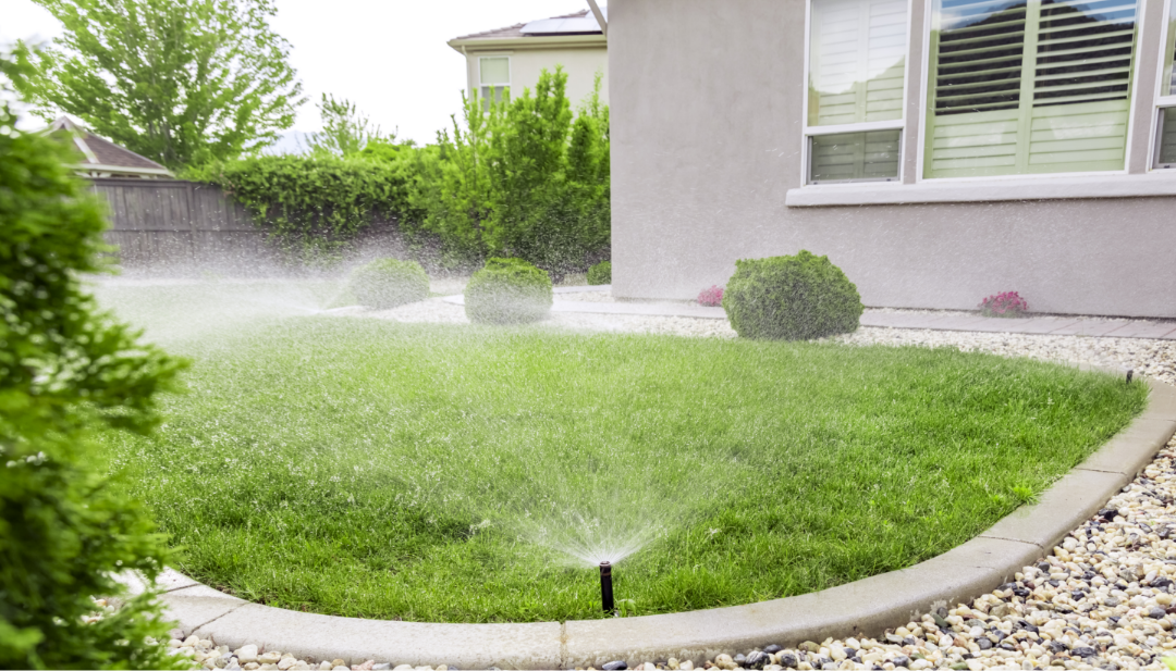 How to Strike a Balance: Overwatering vs. Underwatering Your Lawn and/or Plants