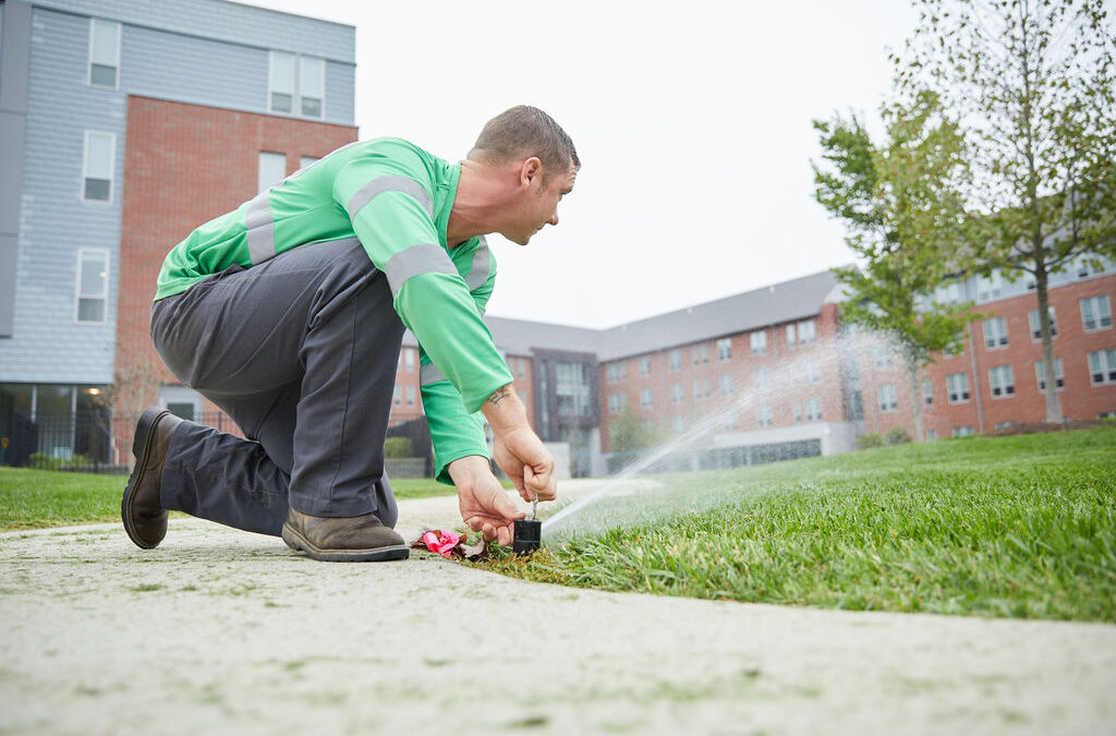 What You Should Know About Lawn Sprinkler System Installation