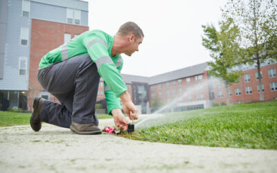 What You Should Know About Lawn Sprinkler System Installation