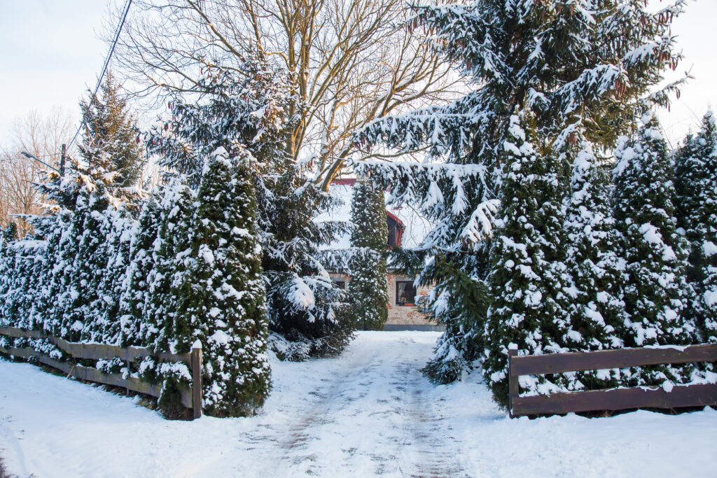 Old brick house and trees around in snow