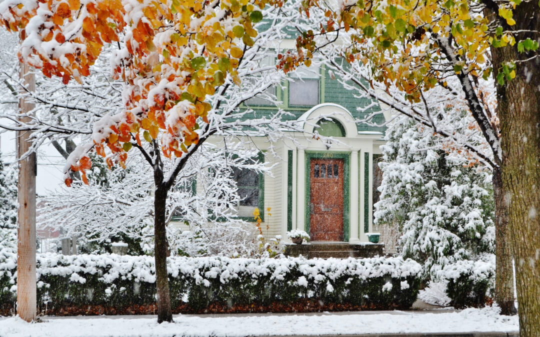 5 Winter Garden Ideas for a Beautiful Backyard All Season